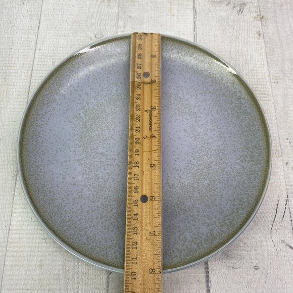 Chrissy Teigen GRAVINGS BLUE Color Motifs Textured Stoneware Salad Plates Set 4 - Picture 11 of 16